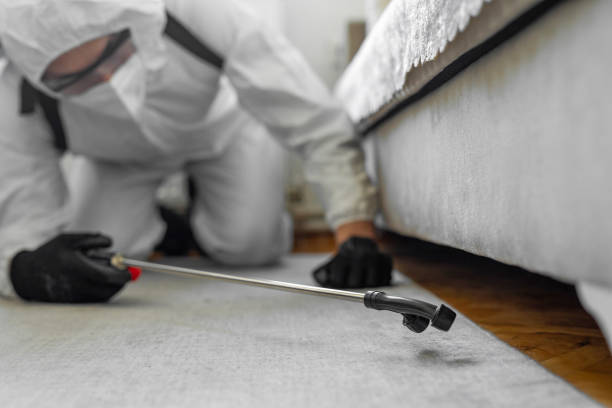 Professional Cockroach Control technician working in Roseto, PA